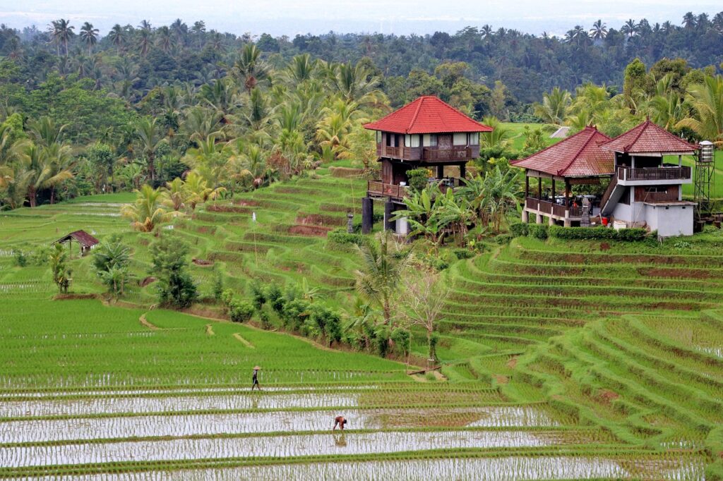 Bali vs Maldives