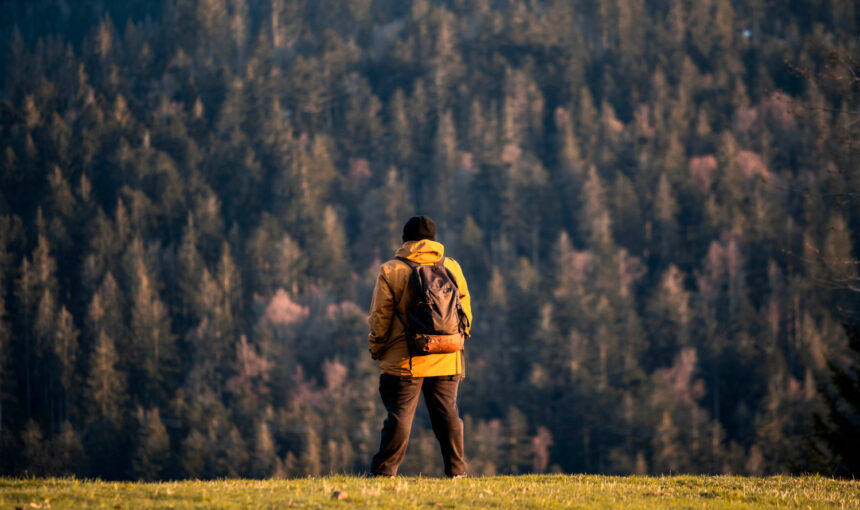 Outdoor Adventure Hotspots: Trending U.S. National Parks for 2025