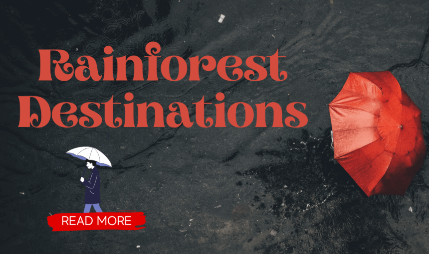 Rainforest Destinations: Top 10 Places for Eco-Adventures in 2025