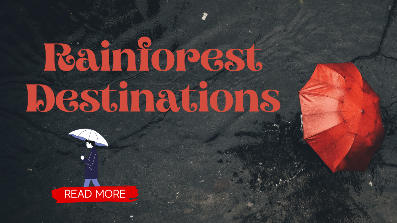 Rainforest Destinations