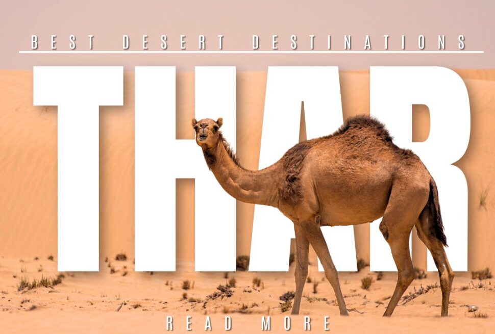 Best Desert Destinations