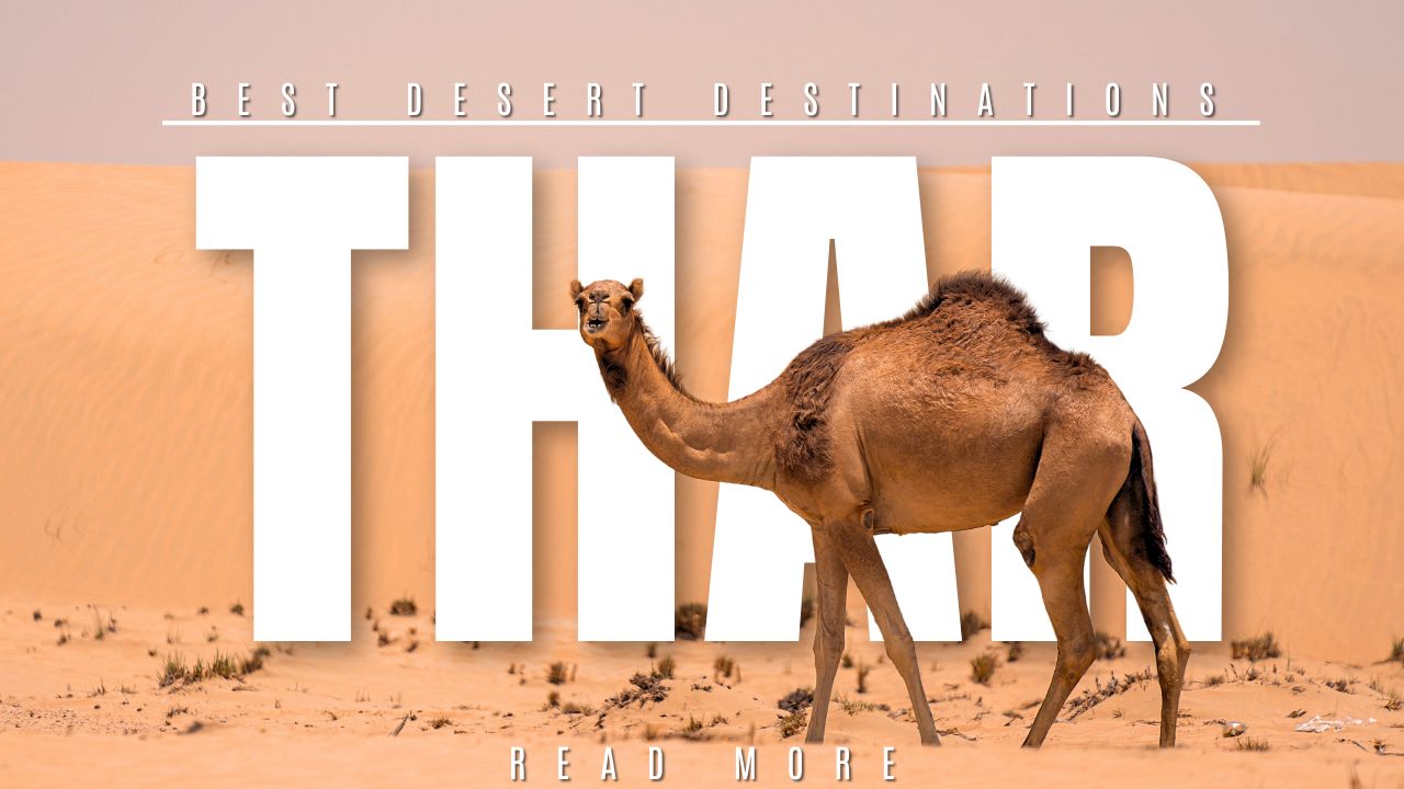 Best Desert Destinations