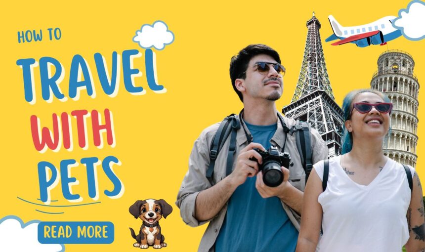 How to Travel With Pets: Complete Guide for Stress-Free Pet Travel Tips 2025