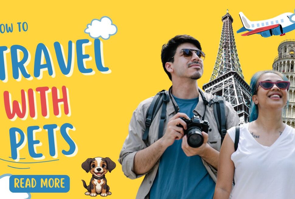 How to Travel With Pets