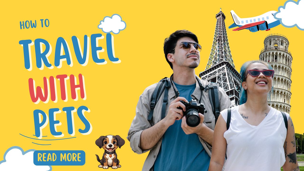 How to Travel With Pets