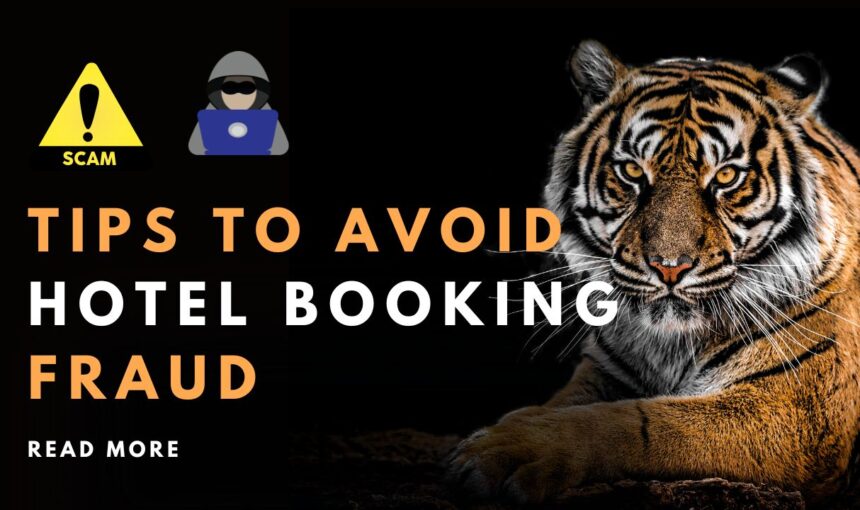 Book Accommodation Without Scams: 12 Essential Tips to Avoid Hotel Booking Fraud