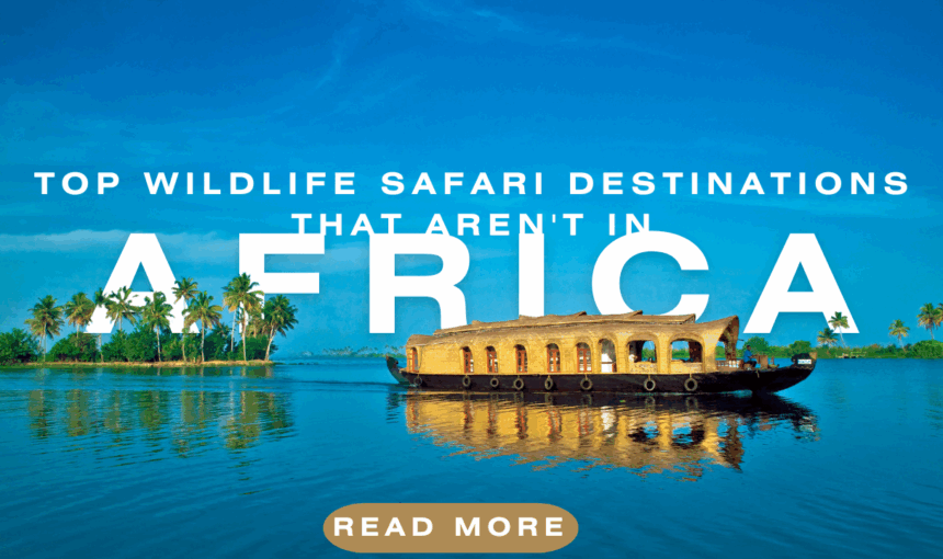 Top Wildlife Safari Destinations That Aren’t in Africa