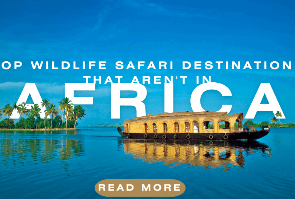 Top Wildlife Safari Destinations That Aren't in Africa
