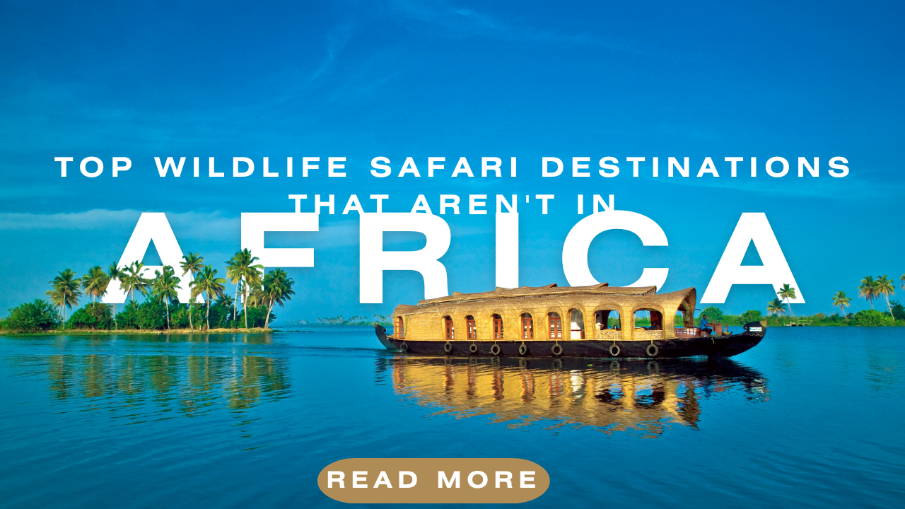Top Wildlife Safari Destinations That Aren't in Africa