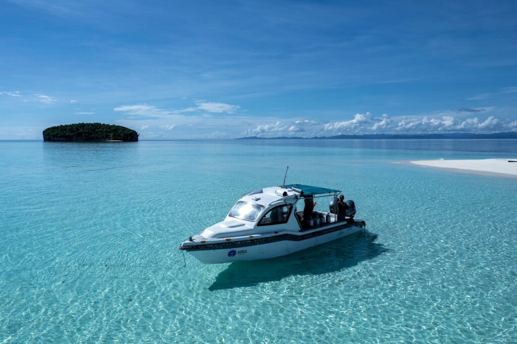 Pacific Paradise