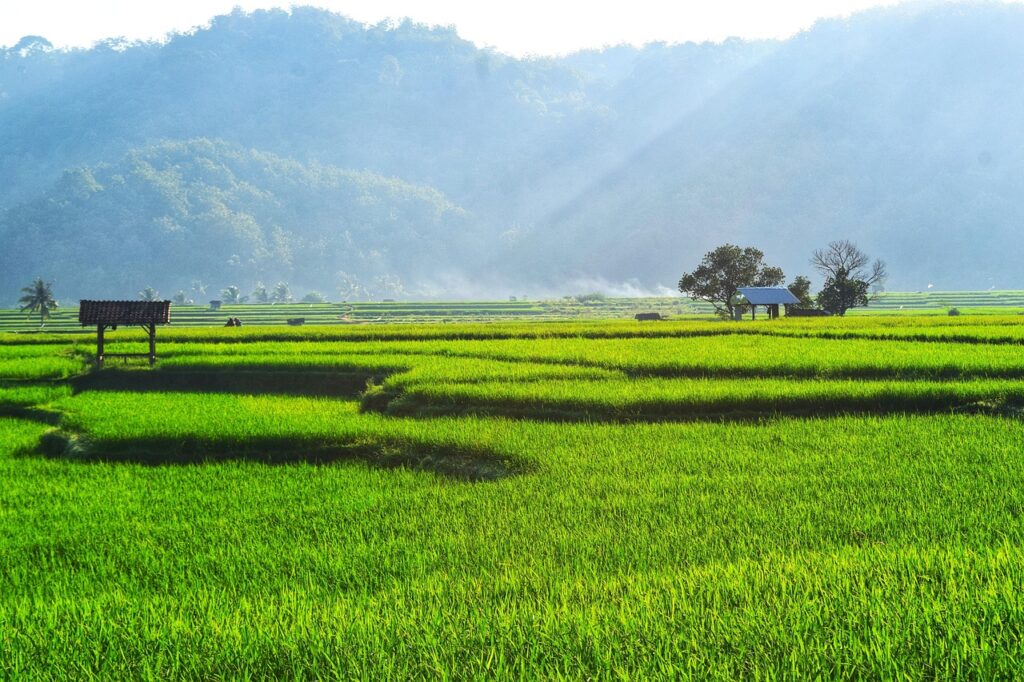 places in Bali