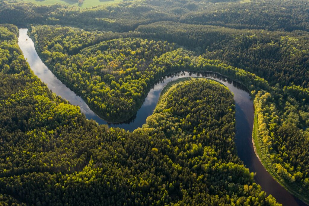 rainforest destinations
