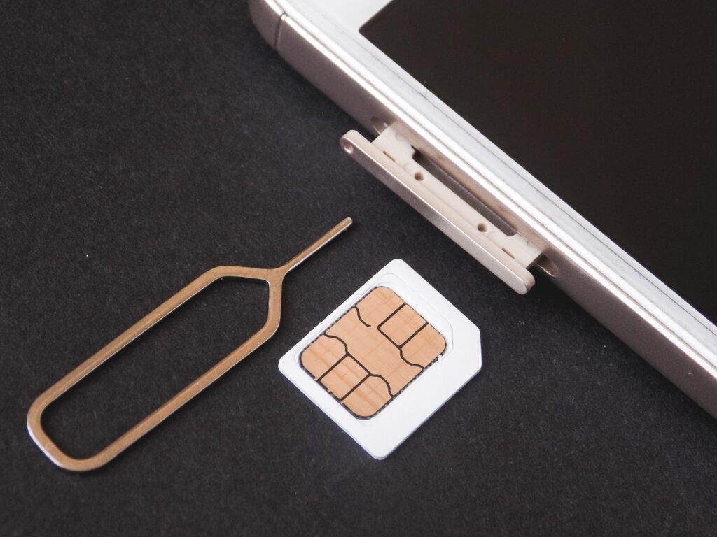 sim for travel