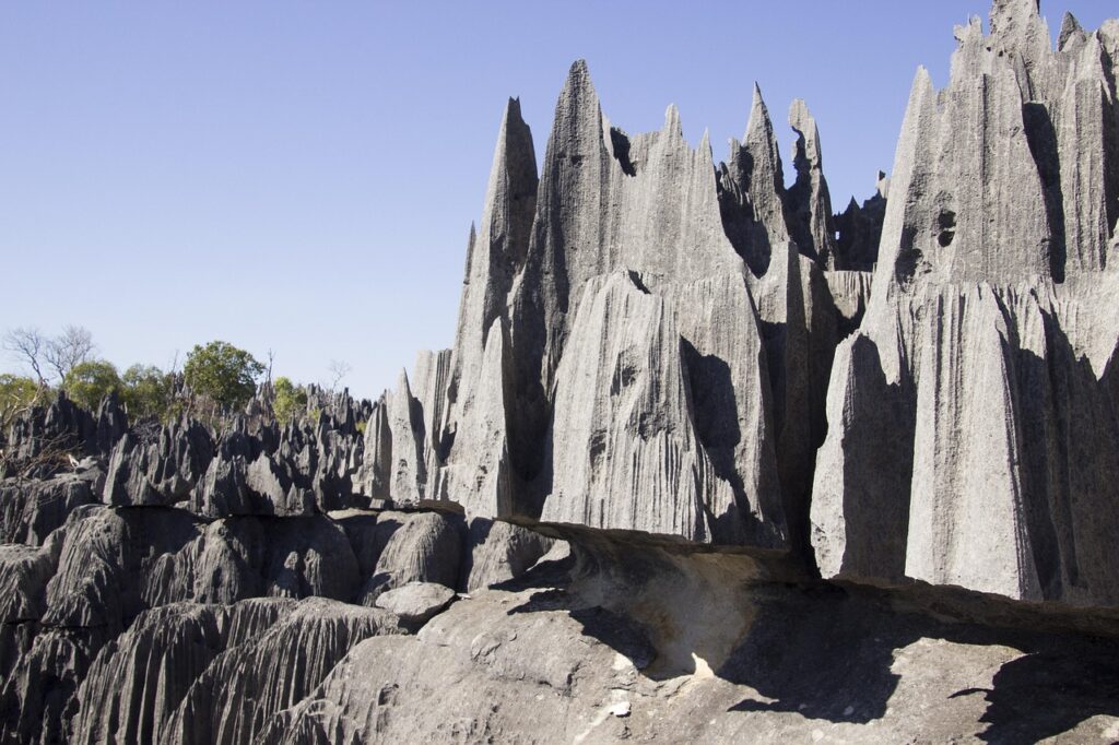 Madagascar