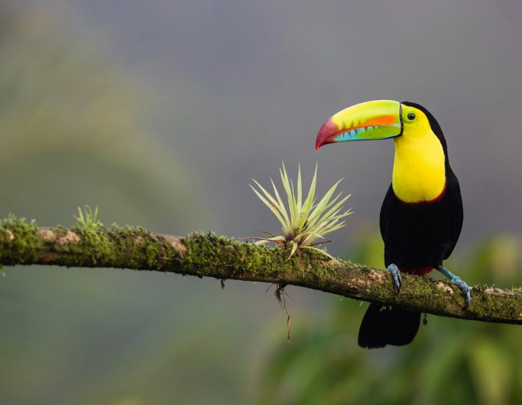 best countries for nature lovers